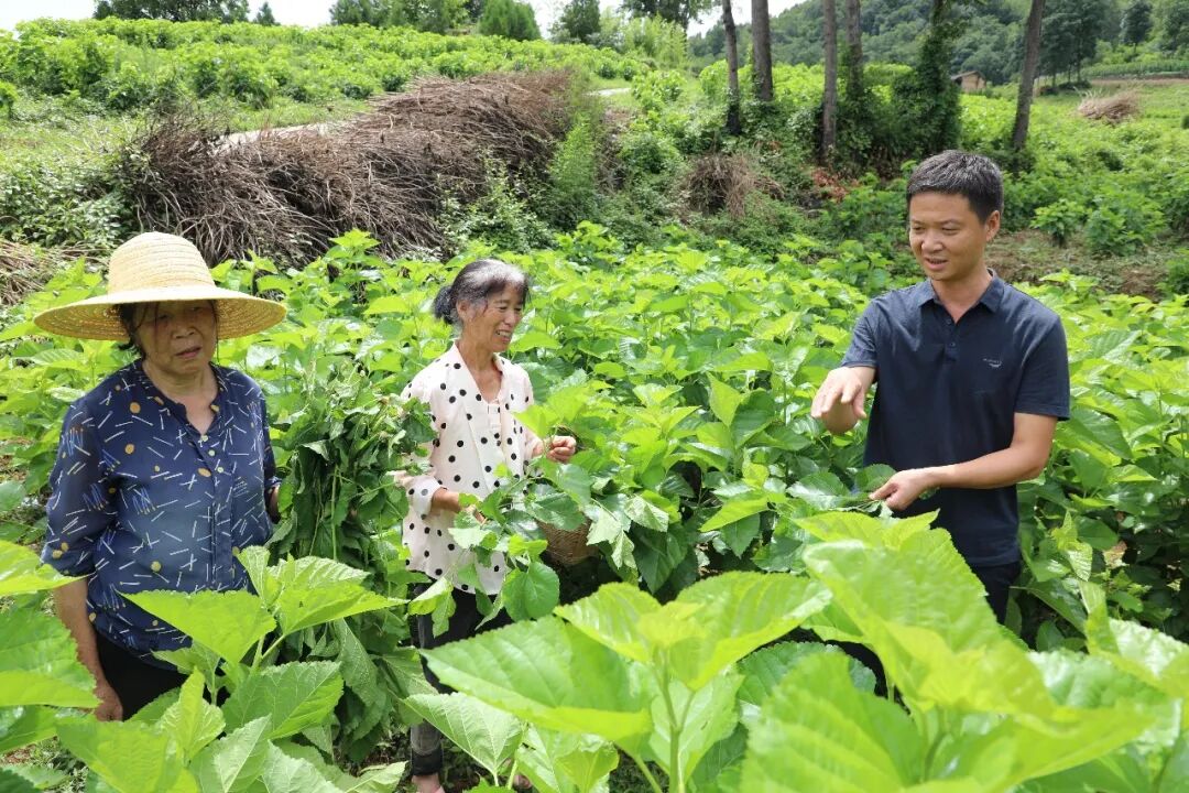 汉滨区：当好民营企业“娘家人”